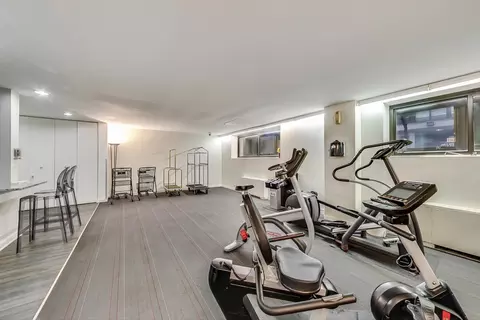 40 E Cedar St #12B, Chicago, IL 60611 photo 30