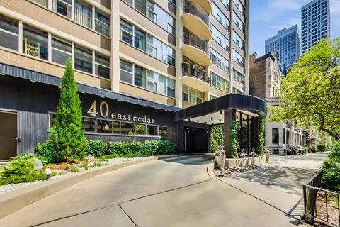 40 E Cedar St #12B, Chicago, IL 60611 photo 4
