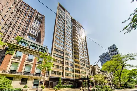 40 E Cedar St #12B, Chicago, IL 60611 photo 3