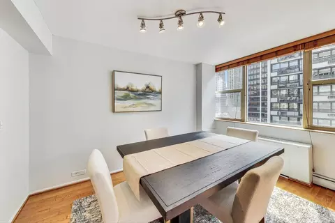 40 E Cedar St #12B, Chicago, IL 60611 photo 12