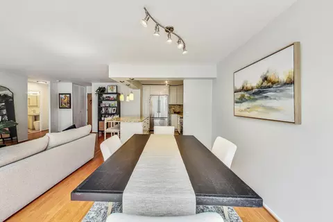 40 E Cedar St #12B, Chicago, IL 60611 photo 14