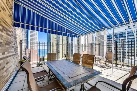 40 E Cedar St #12B, Chicago, IL 60611 photo 45
