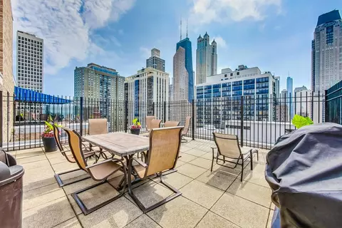 40 E Cedar St #12B, Chicago, IL 60611 photo 33