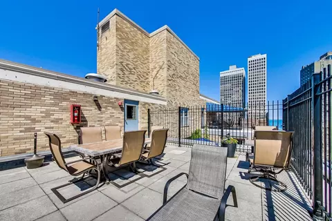 40 E Cedar St #12B, Chicago, IL 60611 photo 37