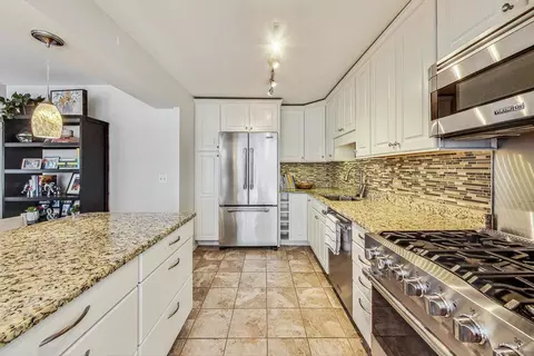 40 E Cedar St #12B, Chicago, IL 60611 photo 15