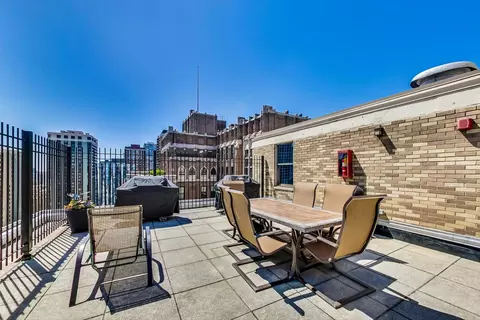 40 E Cedar St #12B, Chicago, IL 60611 photo 38