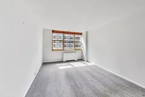 40 E Cedar St #12B, Chicago, IL 60611 photo 18