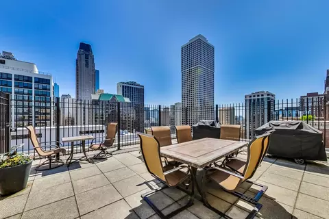 40 E Cedar St #12B, Chicago, IL 60611 photo 36