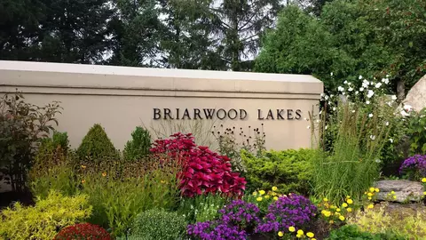 172 Briarwood Loop, Oak Brook, IL 60523