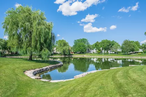 1661 Valley Forge Ct #C, Wheaton, IL 60189 photo 20
