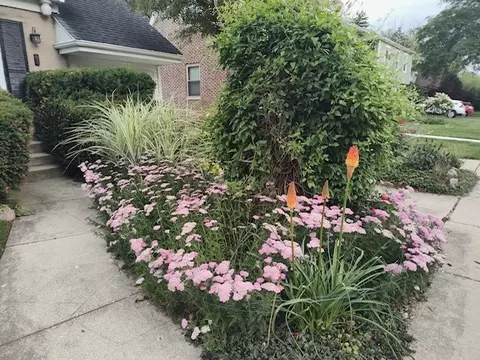 886 S 2nd Ave, Des Plaines, IL 60016 photo 53
