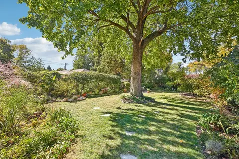 886 S 2nd Ave, Des Plaines, IL 60016 photo 46