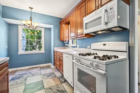 886 S 2nd Ave, Des Plaines, IL 60016 photo 15