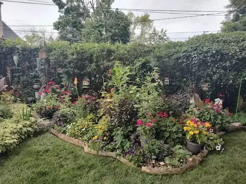 886 S 2nd Ave, Des Plaines, IL 60016 photo 54