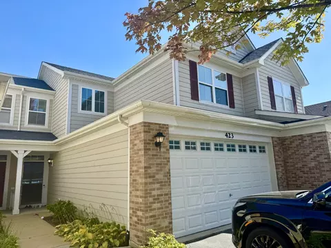 423 Acushnet St, Elgin, IL 60124 photo 1