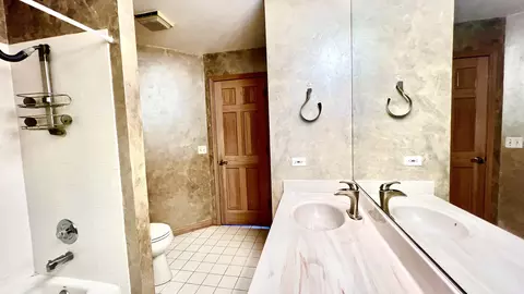 Bath - 1750 Ashford Cir, Wheeling, IL 60090 photo 7 of 10