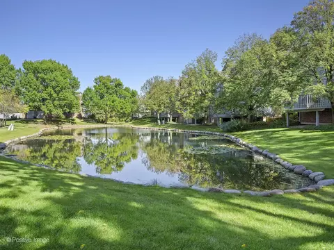 100 Waterside Pl, Burr Ridge, IL 60527 photo 18