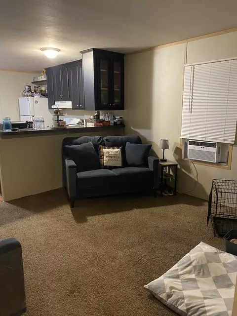 36 Cedar St, Minooka, IL 60447 photo 4