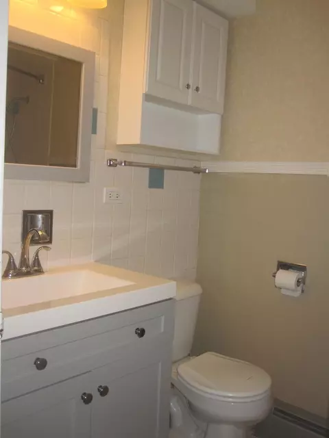 7956 Madison St #2E, River Forest, IL 60305 photo 10