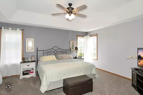 319 Mallards Cv, Beecher, IL 60401 photo 23