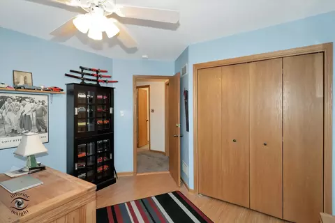 319 Mallards Cv, Beecher, IL 60401 photo 29