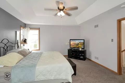 319 Mallards Cv, Beecher, IL 60401 photo 25