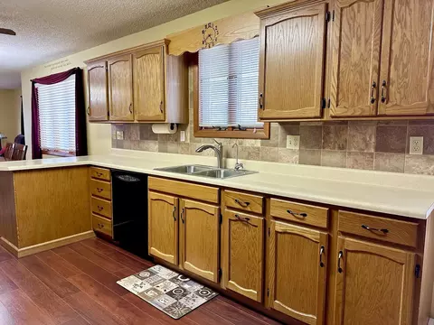 308 W 2nd St, Lostant, IL 61334 photo 11