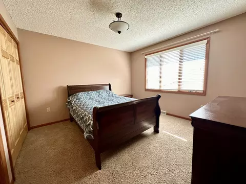 308 W 2nd St, Lostant, IL 61334 photo 18
