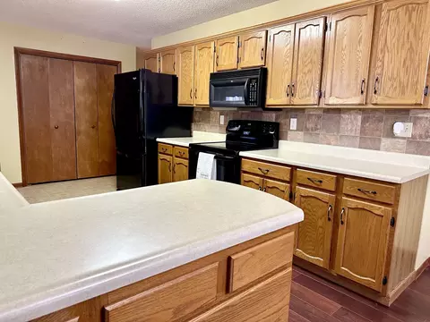 308 W 2nd St, Lostant, IL 61334 photo 8