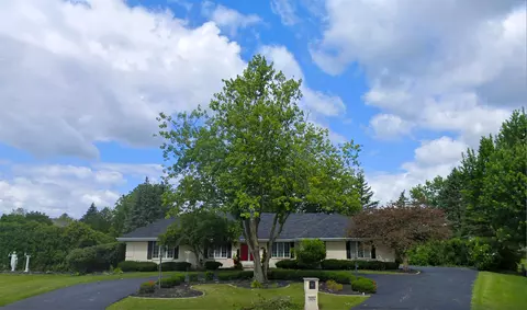 20234 Wilderness Trl, Olympia Fields, IL 60461