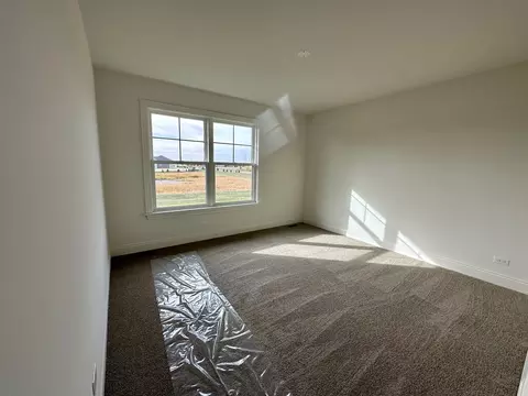 9 Wintergreen Ct, Algonquin, IL 60102 photo 28