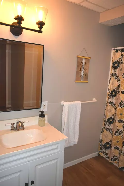 Bath - 315 E 8th St, El Paso, IL 61738 photo 3 of 4