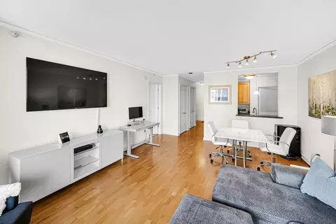 420 E Waterside Dr #1109, Chicago, IL 60601 photo 7