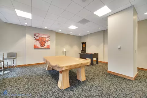 420 E Waterside Dr #1109, Chicago, IL 60601 photo 30