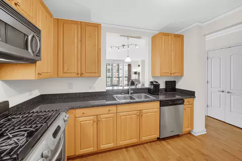 420 E Waterside Dr #1109, Chicago, IL 60601 photo 9