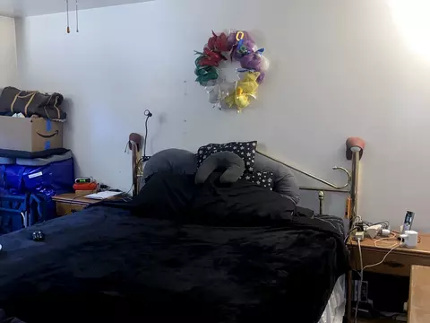 Bedroom - 14718 S Harper Ave, Dolton, IL 60419 photo 1 of 2