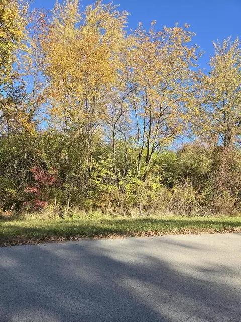 Vacant W Monee-manhattan Road, Monee, IL 60449