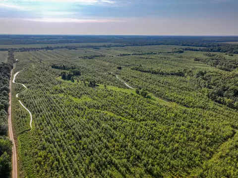 4 Mayflower Road, Clay City, IL 62824