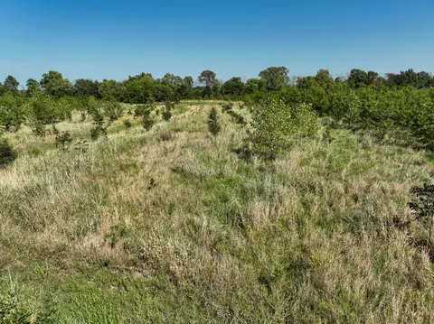 Tract 5 East Radio Tower Road, Clay City, IL 62824