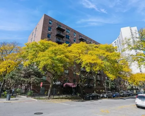 3900 N Pine Grove Ave #214, Chicago, IL 60613
