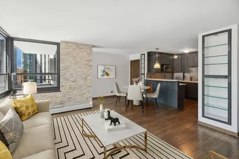 Living - 33 E Cedar St #12D, Chicago, IL 60611 photo 2 of 3