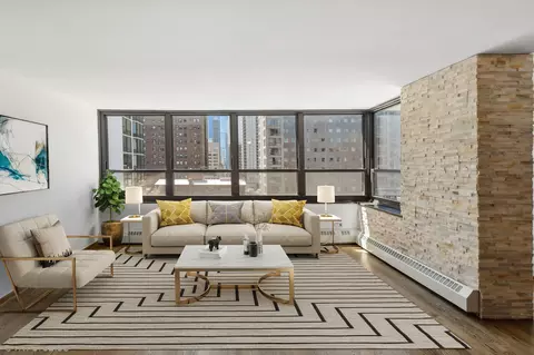 Other - 33 E Cedar St #12D, Chicago, IL 60611 photo 2 of 5