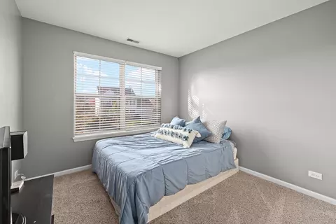 12357 Bartelt Ln, Huntley, IL 60142 photo 19