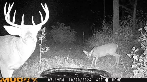 Other - 20450 Yorktown Rd, Morrison, IL 61270 photo 16 of 18
