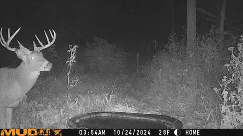 Other - 20450 Yorktown Rd, Morrison, IL 61270 photo 15 of 18