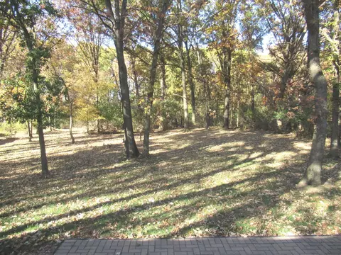 2560 E Priscilla Ln, Crete, IL 60417 photo 45
