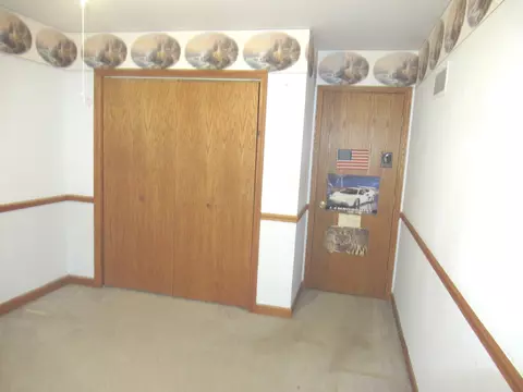 2560 E Priscilla Ln, Crete, IL 60417 photo 23