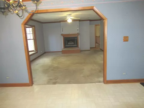 2560 E Priscilla Ln, Crete, IL 60417 photo 9