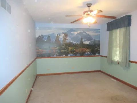 2560 E Priscilla Ln, Crete, IL 60417 photo 24