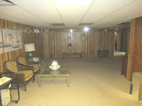 2560 E Priscilla Ln, Crete, IL 60417 photo 33